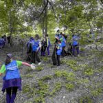 VOLUNTARIATxa - Paradis