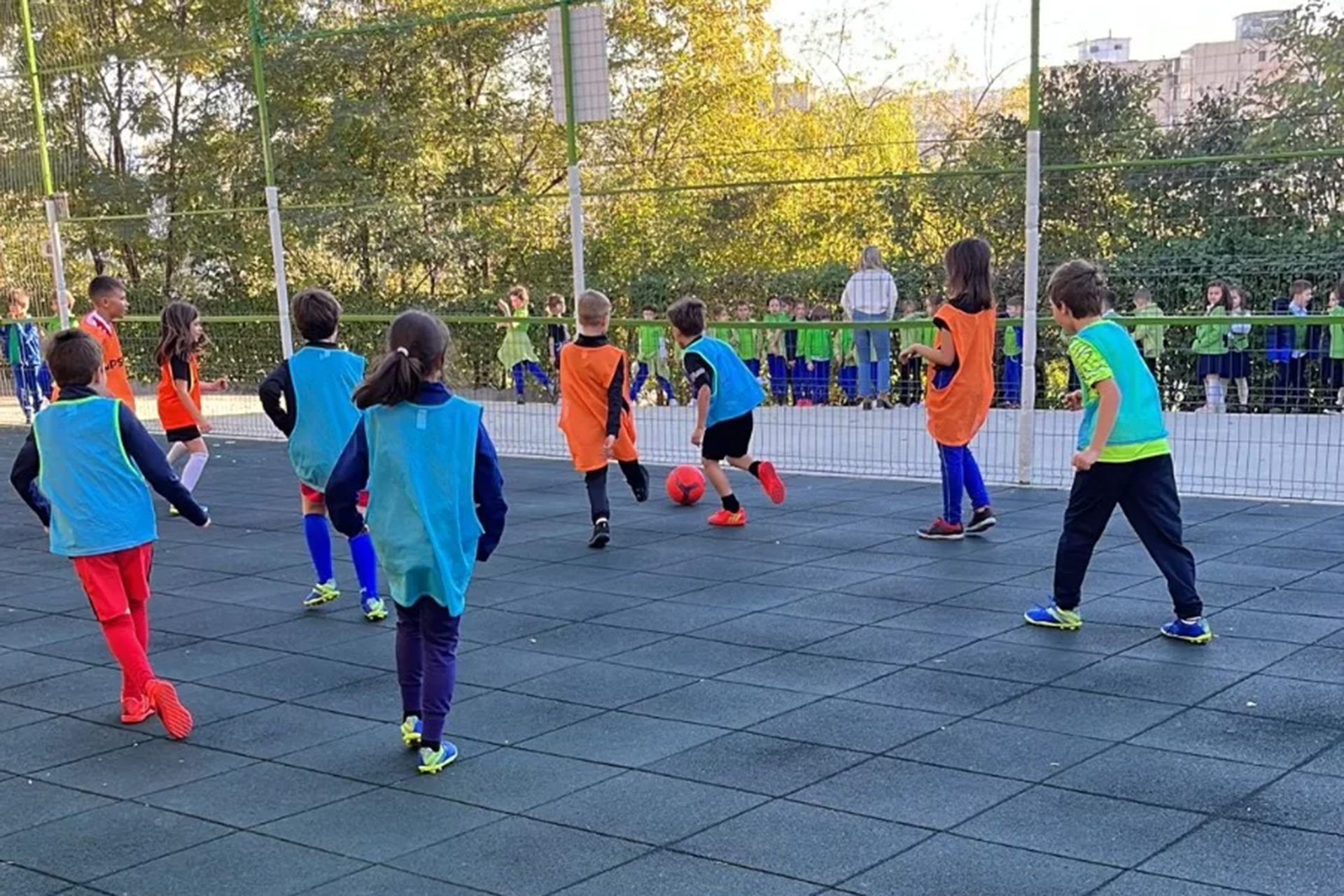 The Football/Basketball/Handball Club The Football/Basketball/Handball Club