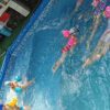 clubul de inot - Paradis