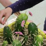 Calatorie in jurul lumii 3 - Paradis