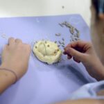 Masterchefi 5 - Paradis