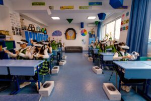 educatie digitala 1 - Paradis