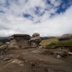 IMG_8544 IMG 8544 - Paradis