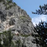 IMG_9214 IMG 9214 - Paradis