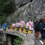 IMG_9471 IMG 9471 - Paradis