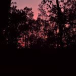 c4a37ad8 2b81 4385 9265 4582f4034b32 - Paradis