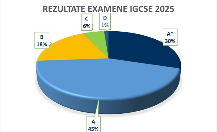 Rezultate ICGSE 2025
